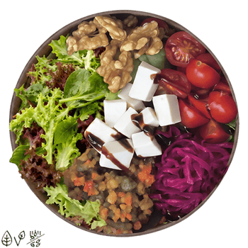 Wilde Ziege Salat (klein)