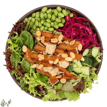 Soya Power Salat (klein)