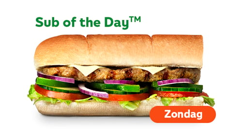 Sub of the day - American Steakhouse 15cm
