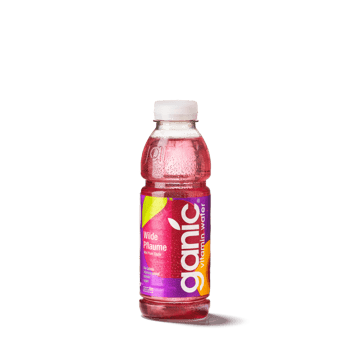 ganic® Vitamin-Booster Wilde Pflaume 0,5L ganic® Vitamin-Booster Wilde Pflaume 0,5L