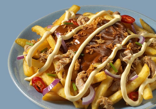 Loaded fries pulled chicken