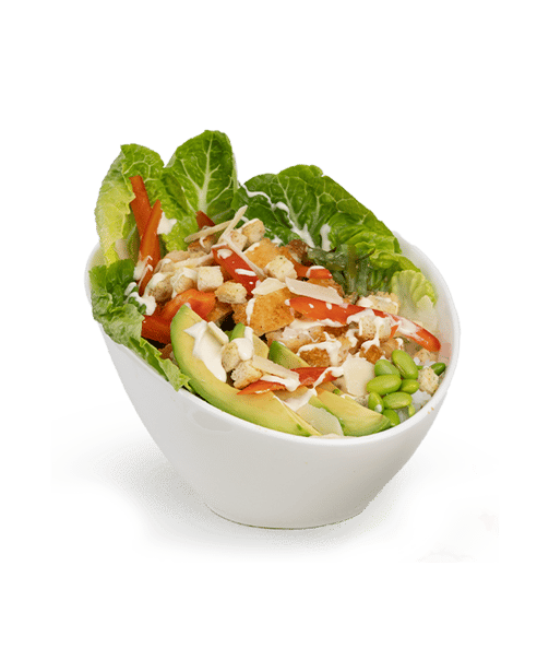 Caesar Chicken Bowl Caesar Chicken Bowl