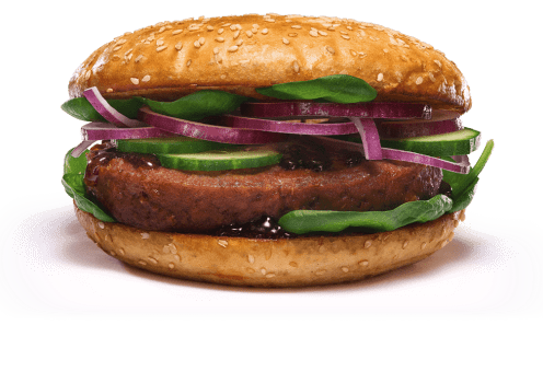 Teriyaki Vegan Teriyaki Vegan